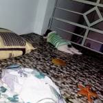 quốc dũng ở Củ Chi, TP Hồ Chí Minh - :> vui vẻ