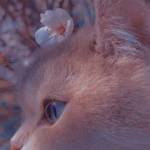 Hoàng Nam ở Bình Tân, TP Hồ Chí Minh - Tìn fwb