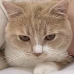 Hiếu ở Ngũ Hành Sơn, Đà Nẵng - Mình mong muốn được kết thêm b