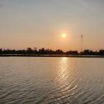 Hiếu ở Cầu Giấy, Hà Nội - Biết đàn va hát