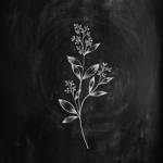 Hoàng Nhất ở Quận 12, TP Hồ Chí Minh - Mình muốn tìm FWB