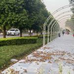 Tuantran ở Hải Dương, Hải Dương - Tìm FWB