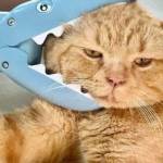 Nam Kiệt ở Long Xuyên, An Giang - Vui vẻ, khỏe :))