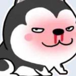 Duc Logn ở Thuận An, Bình Dương - Da ngăm, hơi mập, galang và là