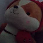 Lộc ở Long Điền, Bà Rịa - Vũng Tàu - Muốn tìm bạn đời nhanh gọn lẹ