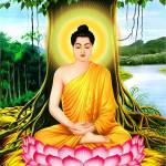 Nguyễn ở Thanh Xuân, Hà Nội - Vui vẻ hoà đồng ,