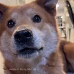 khoa ở Hải Châu, Đà Nẵng - zalo 0363349490