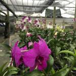 Huy ở Quận 1, TP Hồ Chí Minh - Vui tính