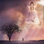 Tran Hoanh ở Thới Lai, Cần Thơ - Du Lịch - Thể thao- Thiện ngu