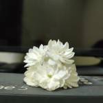 Anh Hùng ở Thanh Hóa, Thanh Hóa - Sống đơn giản,nhiệt tình