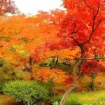 nguyễn bảo ở Cần Giờ, TP Hồ Chí Minh - vui vẻ, hòa đồng