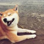 Đạt ở Lê Chân, Hải Phòng - Muốn tìm mối quan hệ không ràn