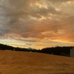 Bình ở Bình Thủy, Cần Thơ - Yêu