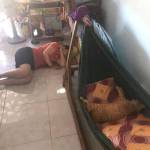 Lê Thành Cao tìm nữ FwB trên mạng