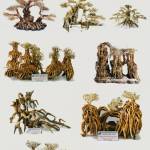 Hoang long ở Hòa Vang, Đà Nẵng - Kết bạn làm quen - thêm bạn mớ