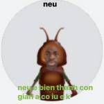 Ngô bên ở Biên Hoà, Đồng Nai - Ok