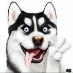 Sơn ở Hai Bà Trưng, Hà Nội - Vui tính