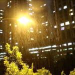 Dũng Trần ở Hà Đông, Hà Nội - muốn tìm 1 bạn nữ để đi chơi d