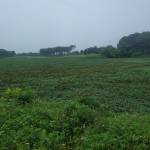 Tiến ở Bắc Từ Liêm, Hà Nội - Cuộc sống nhiều biến động