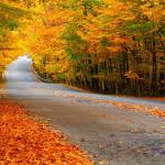 đảoduyphươ ở Quận 1, TP Hồ Chí Minh - mình tên phương, 35t, mình tìm