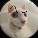 đạo ở Hóc Môn, TP Hồ Chí Minh - welcome