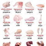 Ka ở Hồng Bàng, Hải Phòng - Ka 11