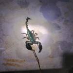 Hoàng Phúc ở Phú Quốc, Kiên Giang - Vui vẻ