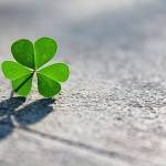 cuong ở Vũng Tàu, Bà Rịa - Vũng Tàu - yeu âm nhạc