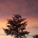 Manh Pham ở Quỳnh Phụ, Thái Bình - Sạch sẽ kín đáo lịch sự