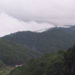 Minh ở Bình Chánh, TP Hồ Chí Minh - Chưa qh