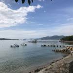 Haiho đang tìm bạn hẹn hò qua mạng