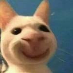 Teddy ở Vũng Tàu, Bà Rịa - Vũng Tàu - vui vẻ