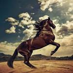 Văn Dũng ở Biên Hoà, Đồng Nai - Hiền lành dễ tính