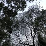 Trương Ngu ở Long Xuyên, An Giang - Tìm fwb a