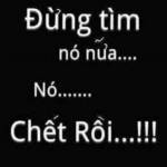 Nguyễn văn ở Phù Cát, Bình Định - Vui ve hòa đồng