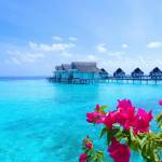 Đoàn Phong ở Uông Bí, Quảng Ninh - Vui vẻ, dễ gần