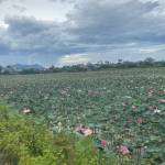 TýsCường ở Cẩm Lệ, Đà Nẵng - Hiền lành..thương người..giàu 