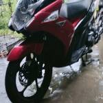 Nguyễn ngh ở Giá Rai, Bạc Liêu - Độc thân