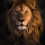 Long ở Tân Phú, TP Hồ Chí Minh - Cao cân đối, dễ nhìn, trầm tín