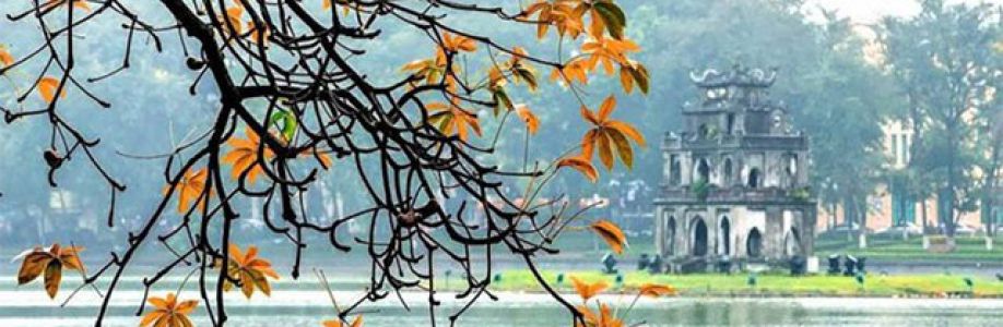 Hoàng Nam Cover Image