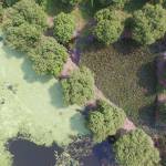 Lê văn đức ở Cát Hải, Hải Phòng - Tạm ổn