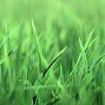 DONG ở Quận 7, TP Hồ Chí Minh - Langtu...