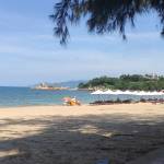 Cỏ bốn lá ở Vũng Tàu, Bà Rịa - Vũng Tàu - Đang ở một mình