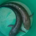 Tuấn ở Rạch Giá, Kiên Giang - Vui vẻ vui tính hòa đồng