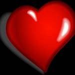 thảo Profile Picture