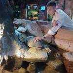 Vũ Tiến Tớ ở Bắc Từ Liêm, Hà Nội - Zalo 0796027583 <br>Độc thân