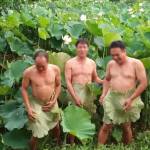 Nam ở Nghi Xuân, Hà Tĩnh - Độc than