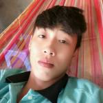 Hổ ở Hòn Đất, Kiên Giang - Hoa đồng vui tinh song tinh cả