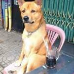 Tài Thiên ở Bình Tân, TP Hồ Chí Minh - Tim ban gai dam dang tam su hi