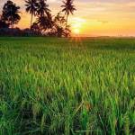 Hoang ở Tân Châu, Tây Ninh - Vui vẻ hòa đồng